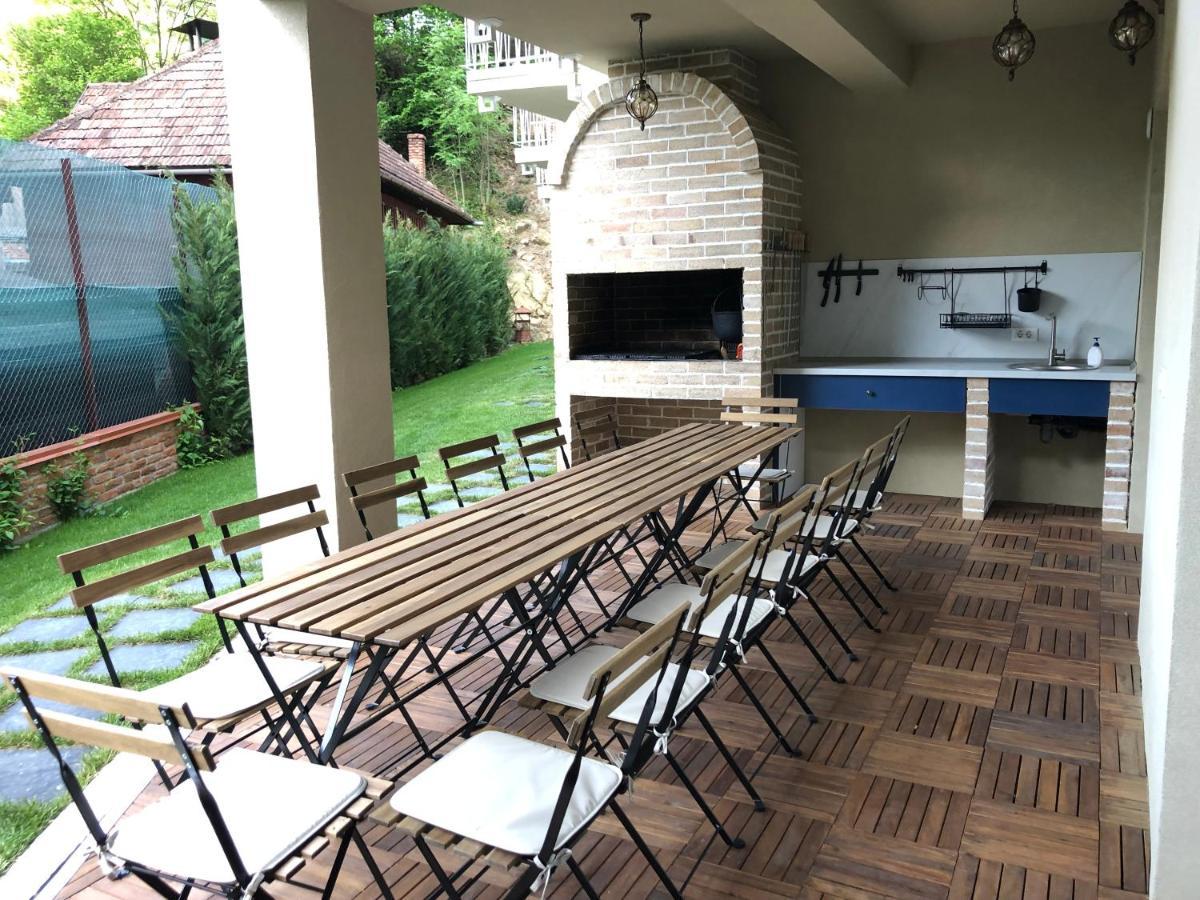 Pensiunea Sugag Şugag Exterior foto
